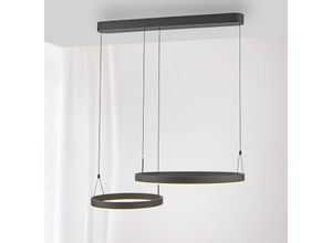 4012248384565 - Paul Neuhaus LED-Pendellampe Esko schwarz Länge 90 cm