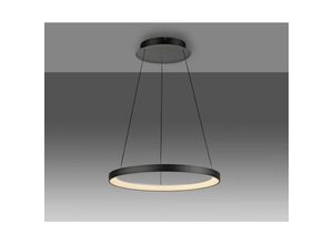 4012248384695 - Led Pendelleuchte Hoop in Schwarz 42W 2000lm - Paul Neuhaus