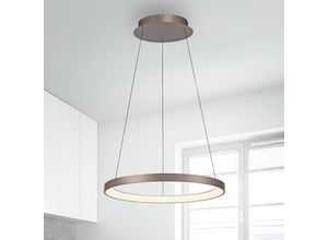 4012248384701 - Paul Neuhaus LED-Hängelampe Hoop kaffeebraun Ø 57 cm