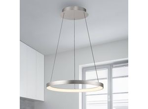 4012248384718 - Paul Neuhaus LED-Hängelampe Hoop aluminium Ø 57 cm