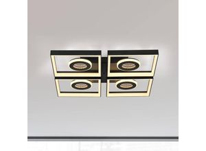 4012248384909 - Paul Neuhaus LED-Deckenlampe Traforo Länge 53 cm schwarz