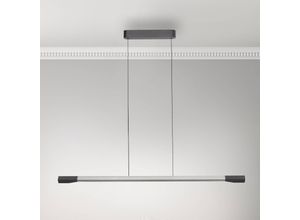 4012248385951 - Paul Neuhaus LED-Hängelampe Hoop aluminium Länge 128 cm