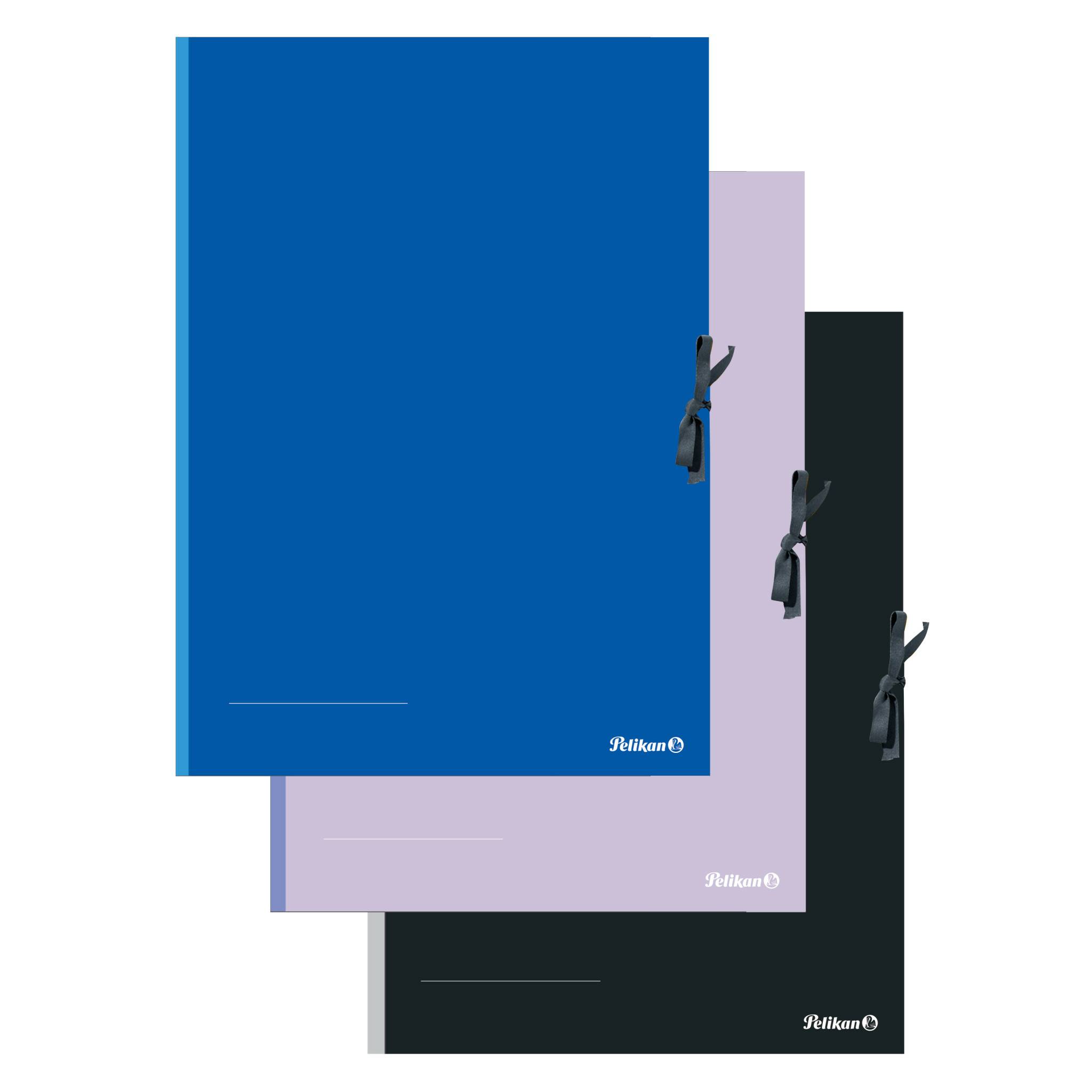 4012700276872 - Pelikan Sammelmappe A2 farbig sortiert FSC