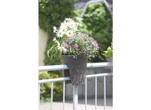 4013351341322 - Geländerblumentopf Flowerclip 3er Set grau