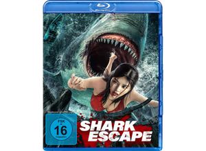 4013549142441 - Shark Escape (Blu-ray)