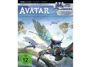 4013575724178 - Avatar Collectors Edition