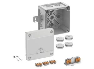 4013902664542 - 40447001 Abzweigkasten (L x B x H) 107 x 107 x 70 mm Grau IP66 IP67 IP69 1 St