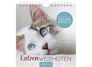 4014489133667 - Wandkalender Katzenweisheiten 2025