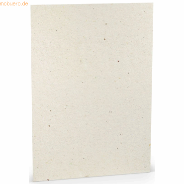 4014970249396 - 10 x Briefpapier A4 100g qm VE=10 Blatt Terra Vanilla