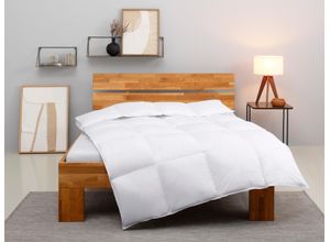 4015049458893 - Kunstfaserbettdecke HOME AFFAIRE Taylore Bettdecke 135x200 cm Bettdecken Gr B L 135 cm x 200 cm warm weiß Kinder Ausstattung Bettdecken Sommer Winter 4 Jahreszeiten Decke