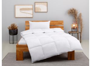 4015049459005 - Kunstfaserbettdecke + Kopfkissen HOME AFFAIRE Taylore Bettwaren-Sets Gr B L 155 cm x 220 cm 1 B L 40 cm x 80 cm (1) extrawarm weiß 4015049459005 - Kunstfaserbettdecke + Kopfkissen HOME AFFAIRE Taylore Bettwaren-Sets Gr B L 155 cm x 220 cm 1 B L 40 cm x 80 cm (1) extrawarm weiß