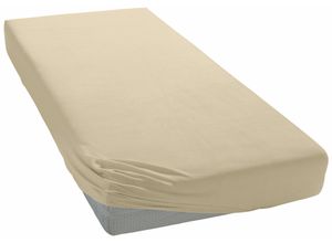 4015210382248 - Spannbettlaken CURT BAUER Jersey Laken Gr B L 180-200 cm x 200-220 cm 1 St Jersey 20 cm 180-200 x 200-220 cm beige (sand) Spannbettlaken Uni