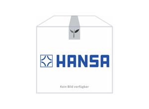 4015474215573 - Ha Schwenkauslauf Spültisch komplett - Hansa