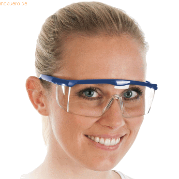 4015544851069 - 10 x Allzweckschutzbrille verstellbar transparent