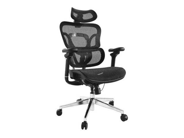 4015867238622 - Equip Ergonomischer Bürostuhl mit Kopf und Armstützen     sw lite Retail