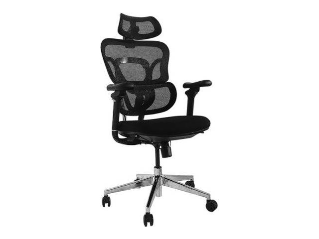 4015867238646 - Equip Ergonomischer Bürostuhl mit Kopf und Armstützen    sw lite Retail