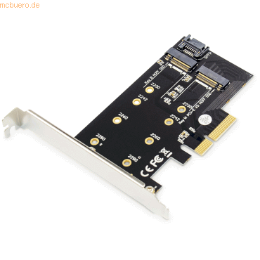 4016032464419 - ASSMANN DIGITUS M2 NGFF   NVMe SSD PCI Express 30 (x4) Add-On Karte DS-33170