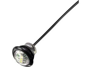 4016139186986 - Tru Components - TK-TL051 LED-Signalleuchte Weiß 12 v dc