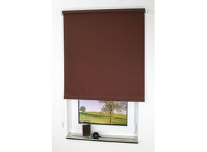 4016318001543 - Liedeco - Seitenzugrollo Uni-Tageslicht cappuccino Größe 62X180 cm