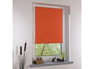4016318008634 - Bella Casa Klemmfix-Rollo Verdunkelung ca 150 x 100 cm terracotta 4016318008634 - Bella Casa Klemmfix-Rollo Verdunkelung ca 150 x 100 cm terracotta