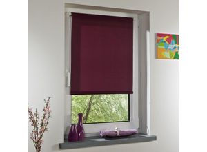 4016318026850 - Seitenzugrollo Rollos Gr 150 cm 80 cm pink (fuchsia) Verdunkelungsrollos Rollo