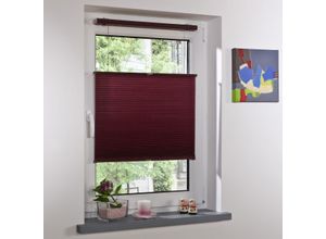 4016318027369 - Thermo Klemmfix-Plissee Wabenplissee 130 x 60 cm Bordeaux