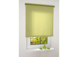 4016318066566 - Liedeco - Springrollo blattgrün lichtdurchlässig Größe 112X180 cm