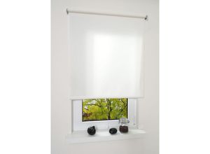 4016318067501 - Liedeco - Springrollo weiß lichtdurchlässig Größe 112X180 cm