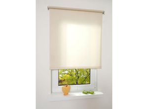 4016318071904 - Liedeco - Springrollo creme lichtdurchlässig Größe 182X180 cm