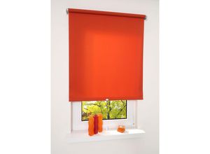 4016318072048 - Liedeco - Springrollo terracotta lichtdurchlässig Größe 182X180 cm 4016318072048 - Liedeco - Springrollo terracotta lichtdurchlässig Größe 182X180 cm