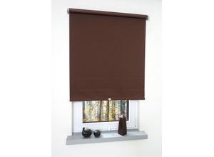 4016318132421 - Liedeco - Springrollo cappucino Verdunklung Größe 62X180 cm