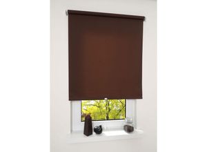 4016318132605 - Liedeco - Springrollo cappucino lichtdurchlässig Größe 72X180 cm