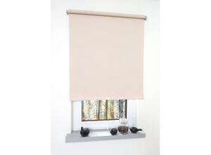 4016318139642 - Liedeco - Springrollo creme Verdunklung Größe 92X180 cm