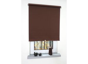 4016318190377 - Liedeco - Springrollo cappucino Verdunklung Größe 172X180 cm