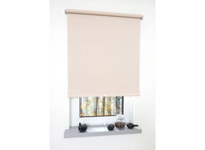 4016318190438 - Liedeco - Springrollo creme Verdunklung Größe 172X180 cm