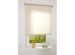 4016318295515 - Liedeco - Springrollo creme lichtdurchlässig Größe 62X180CM