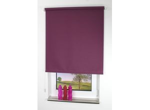 4016318297588 - Liedeco - Seitenzugrollo Uni-Tageslicht brombeere Größe 162X180 cm