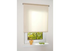 4016318297717 - Springrollo creme lichtdurchlässig Größe 162X180 CM