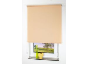 4016318302572 - Liedeco - Seitenzugrollo Uni-Tageslicht sand Größe 102X240 cm