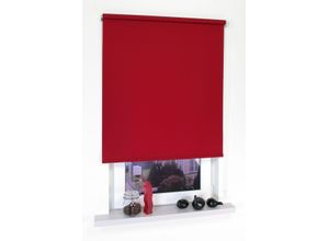 4016318348648 - Seitenzugrollo Kettenzugrollo 180 x 92 cm rot