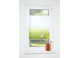 4016318371721 - Plissee Farbverlauf Plissees Gr 130 cm zweiseitig verschiebbar 75 cm grün Plissees ohne Bohren Plissee