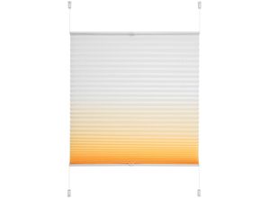 4016318387807 - Liedeco Plissee »Farbverlauf« Lichtschutz ohne Bohren verspannt