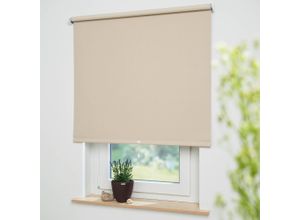 4016318408069 - Springrollo Uni Rollos Gr 180 cm 212 cm beige (cream bitte auswählen) Springrollos Rollowelle 36 mm starke Feder