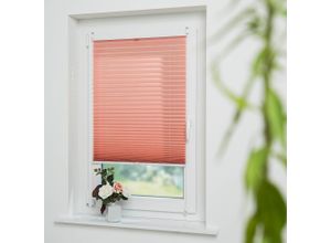 4016318414282 - Liedeco Plissee »Lachs« Lichtschutz ohne Bohren verspannt