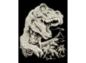 4016490820253 - Kratzbild Tyrannosaurus leuchtende Farbe 4016490820253 PRACHT Creatives