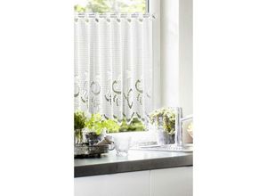 4016546080884 - Cafehausgardine Elia weiß 50 x 160 cm Gardinen - Neusser Collection