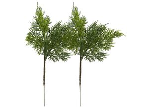 4016550320884 - Thuja-Picks 32 cm 2 Stück