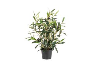 4016550338131 - Botanic-Haus Kunstblume »Olive«