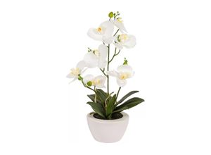 4016550353035 - Kunstblume »Dekomat AG Phaleanopsis im Topf 67 cm«