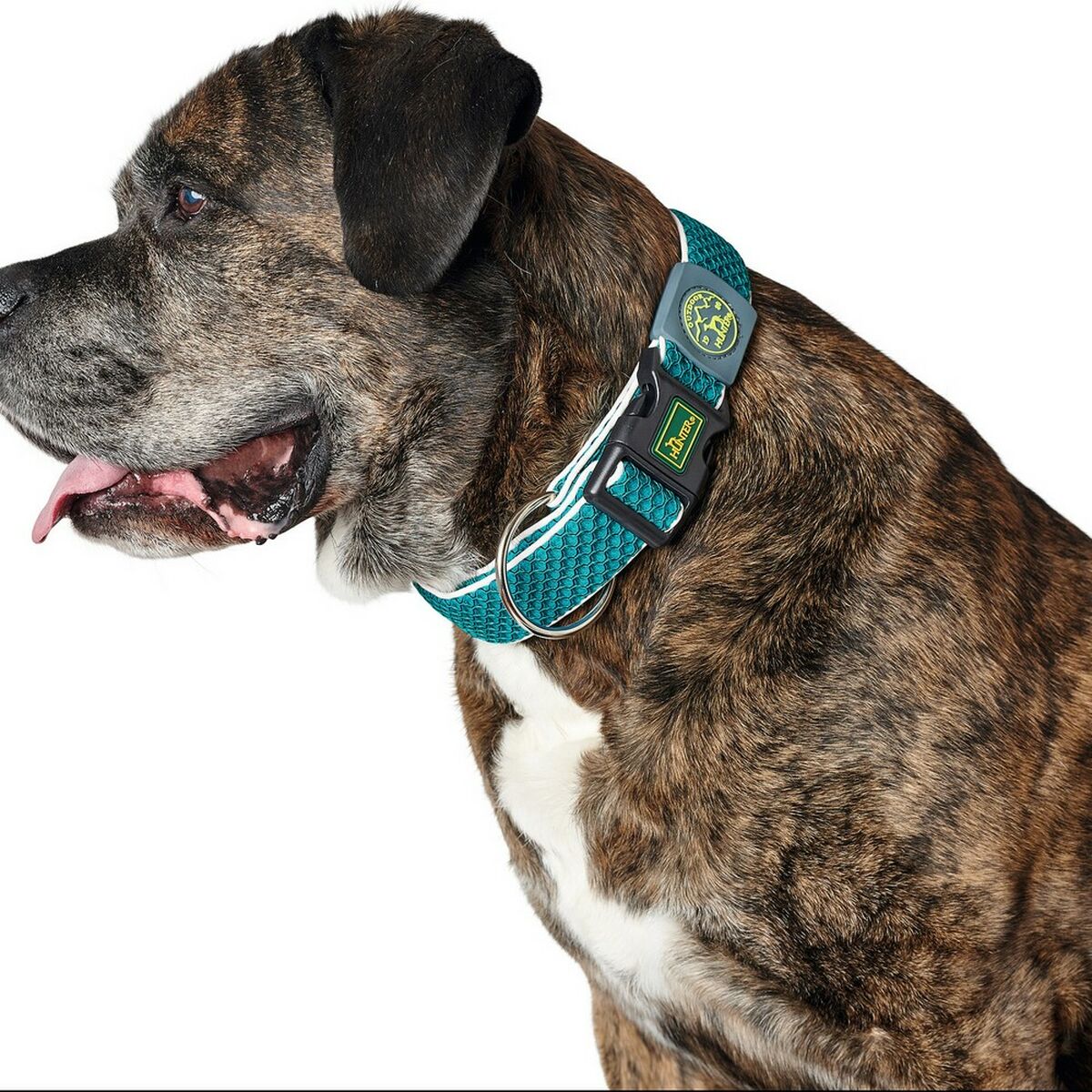 4016739671660 - Hundehalsband Plus Thema türkis 11